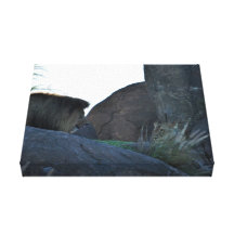 Toile - lion et lionne impression sur toile