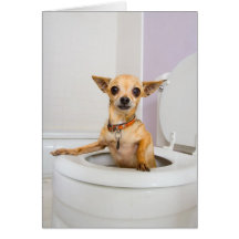 Toilet Bowl (water was drained out ) Greeting Cards