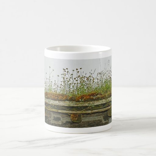 Toit vivant tasse