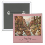 Toltec Gorge Pinback Button