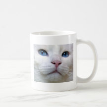 tom12 mugs
