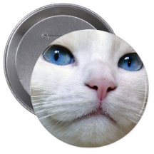 Tom button