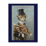 Tom Cat Dressed to the Nines Postcards