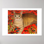 TOM POSTERS