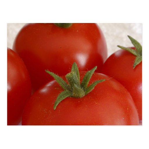 Tomates Cartes Postales