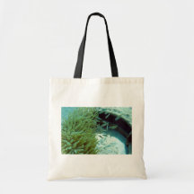 Tomates Swimming With Anemone Bags