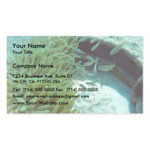 Tomates Swimming With Anemone Business Cards