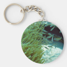 Tomates Swimming With Anemone Keychains