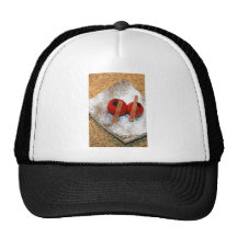 Tomato on cumin seeds trucker hat
