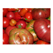 Tomato Postcard