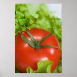 Tomato Poster