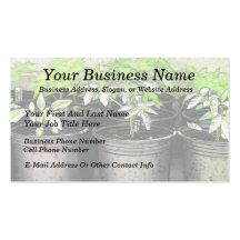Tomato Seedlings In Nursery Pots Business Card