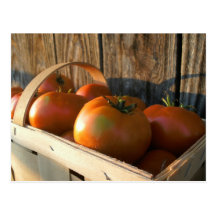 Tomatoes In A Basket Postcards