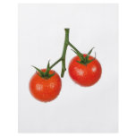 Tomatoes on a vine flyers