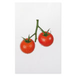 Tomatoes on a vine stationery