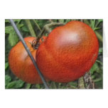 Tomatoes On The Vine Digital Art Photo Note Card