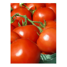 Tomatoes Post Card