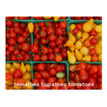 TOMATOES POSTCARDS