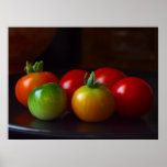 Tomatoes Print