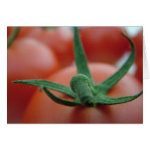 tomatos cards