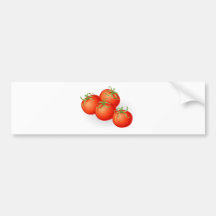 Tomatos illustration bumper stickers