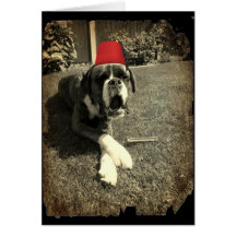 Tommy Cooper Boxer Dog Card