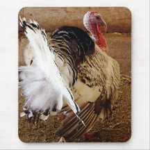Tommy Mouse Pads