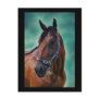 Tommy Standardbred Horse Art Postcard