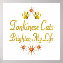 Tonkinese Cats Brighten My Life Print