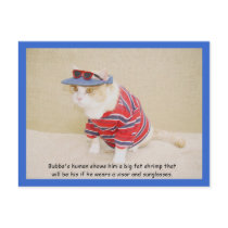 Too Cool Bubba Kitty