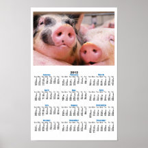 Too Cute Piggies Poster Calendar