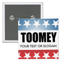 TOOMEY 2010 PIN