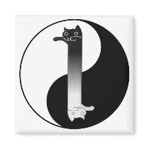 Toon Tao of Longcat