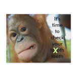 Tooth Care : Dentist Appointment Reminder postcards