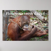 Tooth Care Floss Children's Dentist