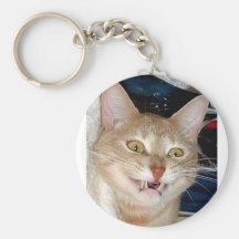 TOOTHY CAT KEY CHAINS