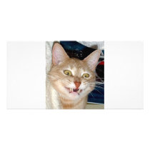 TOOTHY CAT CUSTOMIZED PHOTO CARD