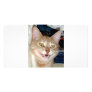 TOOTHY CAT CUSTOMIZED PHOTO CARD