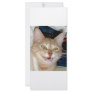TOOTHY CAT RACK CARD DESIGN