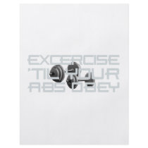 TOP Abs Obey Personalized Flyer