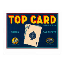 Top Card Post Card