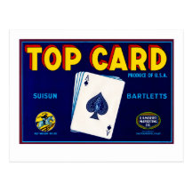 Top Card Postcard