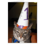Top Cat Card