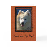 Top Dog Greeting cards