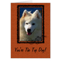 Top Dog Greeting cards