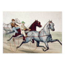 TOP Harness Racing Business Card