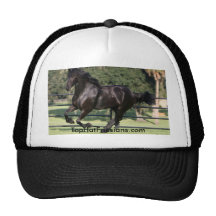 Top Hat Friesians