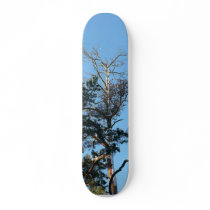 Top Of Dying Tree Skateboard Deck