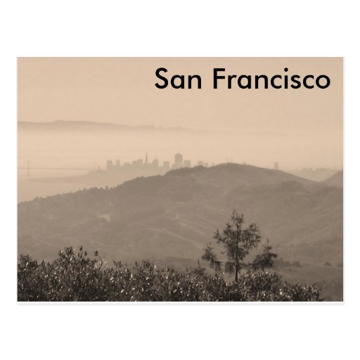 Top of Mt. Tam Postcard