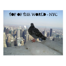 TOP OF THE WORLD - NYC POST CARD